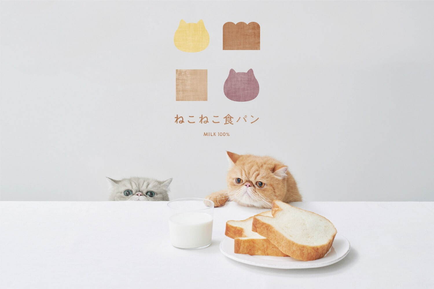 ねこねこ食パン×祇園辻利、抹茶＆キャラメル生地の“茶トラ柄”ねこ型食パン｜写真3