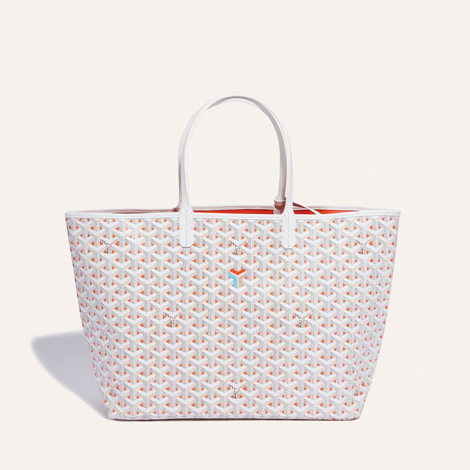 ゴヤール(GOYARD) インド｜写真10