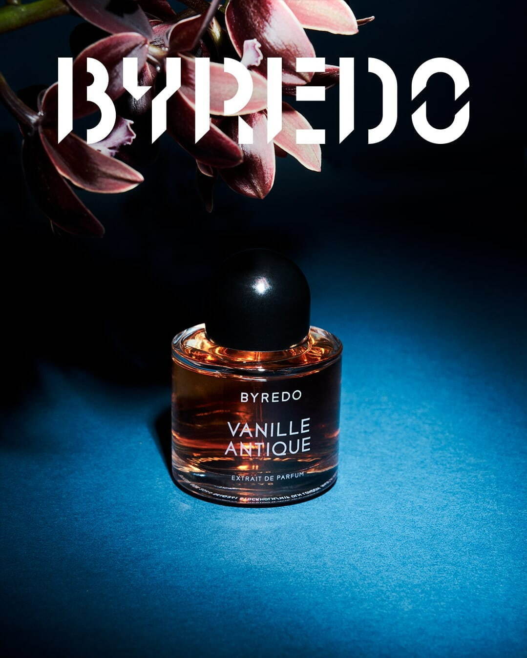 バイレード(BYREDO) ヴァニーユ アンティーク｜写真2