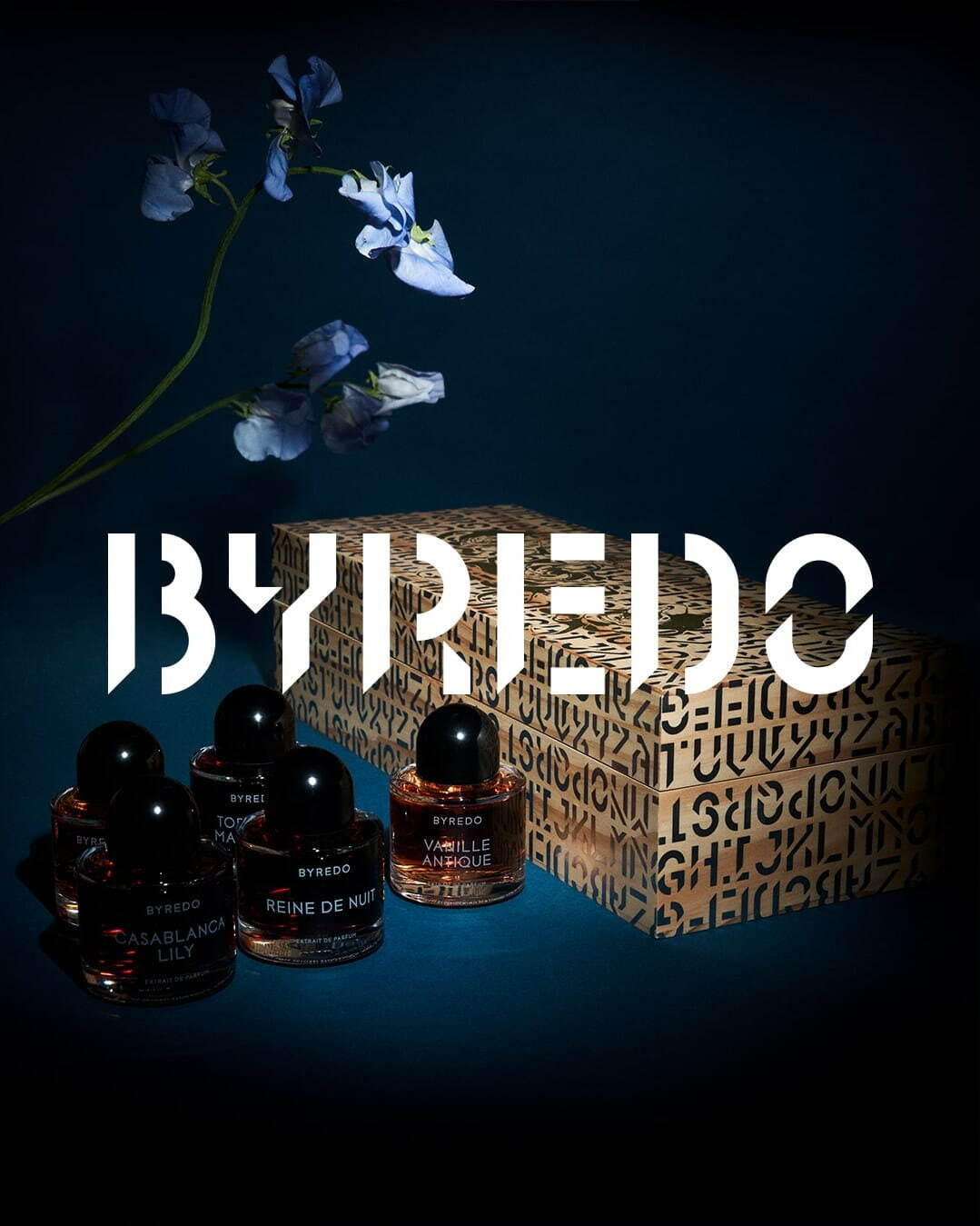 バイレード(BYREDO) ヴァニーユ アンティーク｜写真6