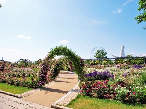 大阪「万博記念公園 ローズフェスタ」約250品種2400株のバラが咲くイベント、薔薇のアーチも｜写真4