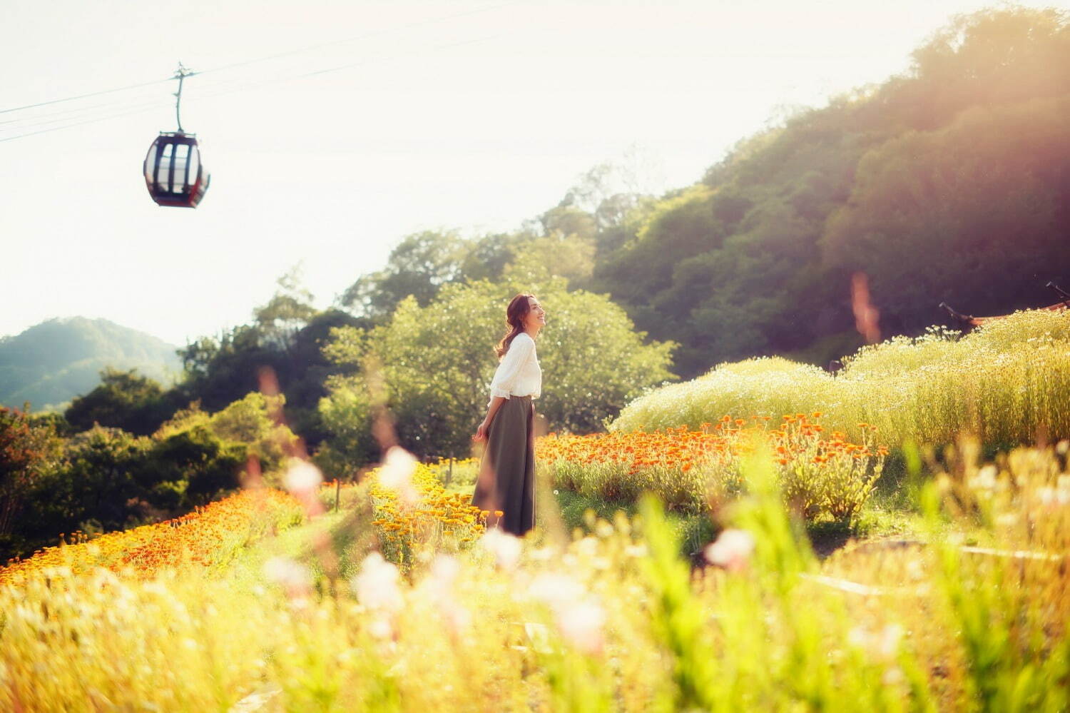 “カモミールの花”広がる「春の収穫祭」神戸布引ハーブ園／ロープウェイで、花摘み体験＆ハーブの花束作り｜写真2