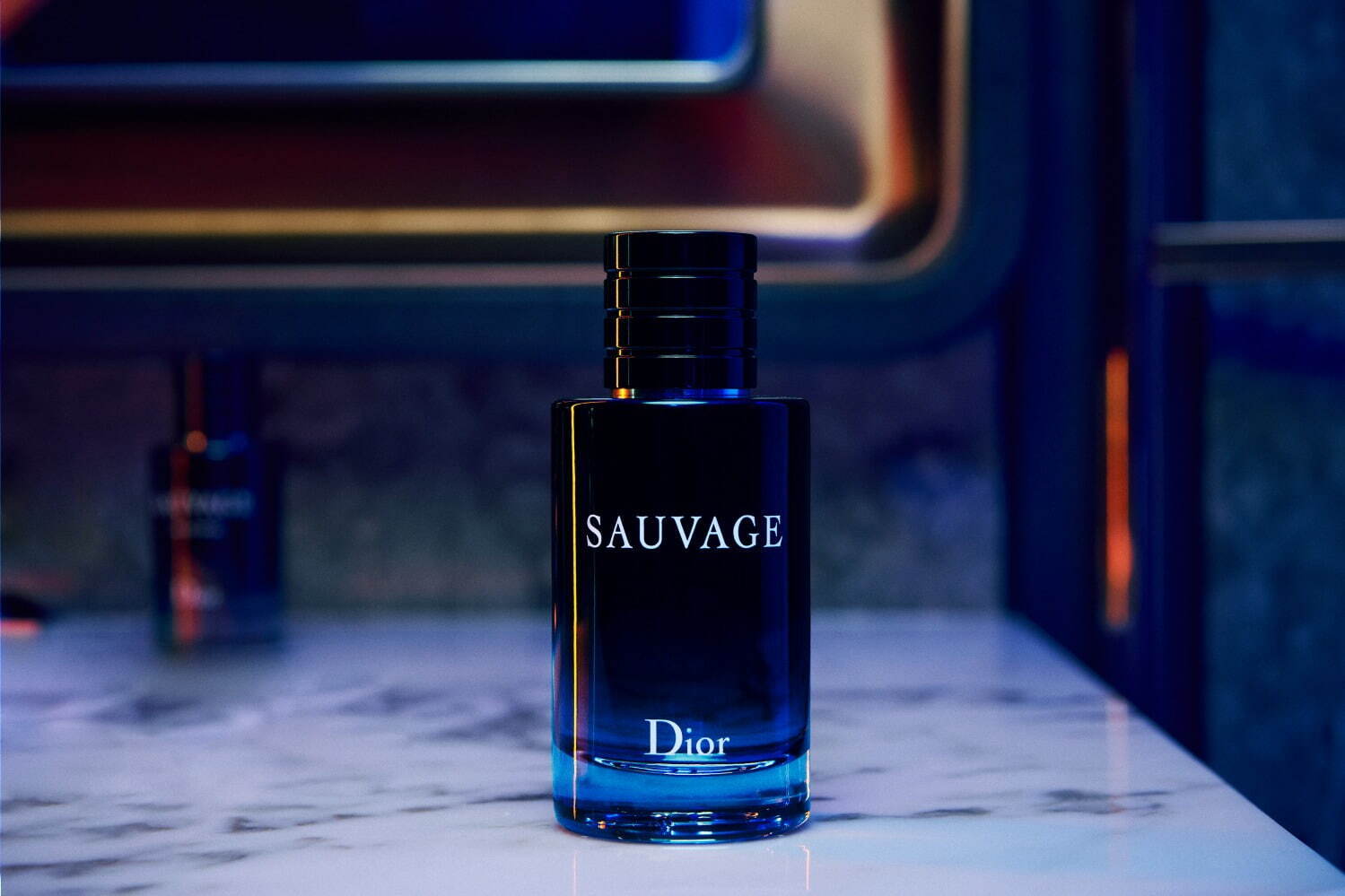 ディオール(DIOR) ソヴァージュ｜写真1