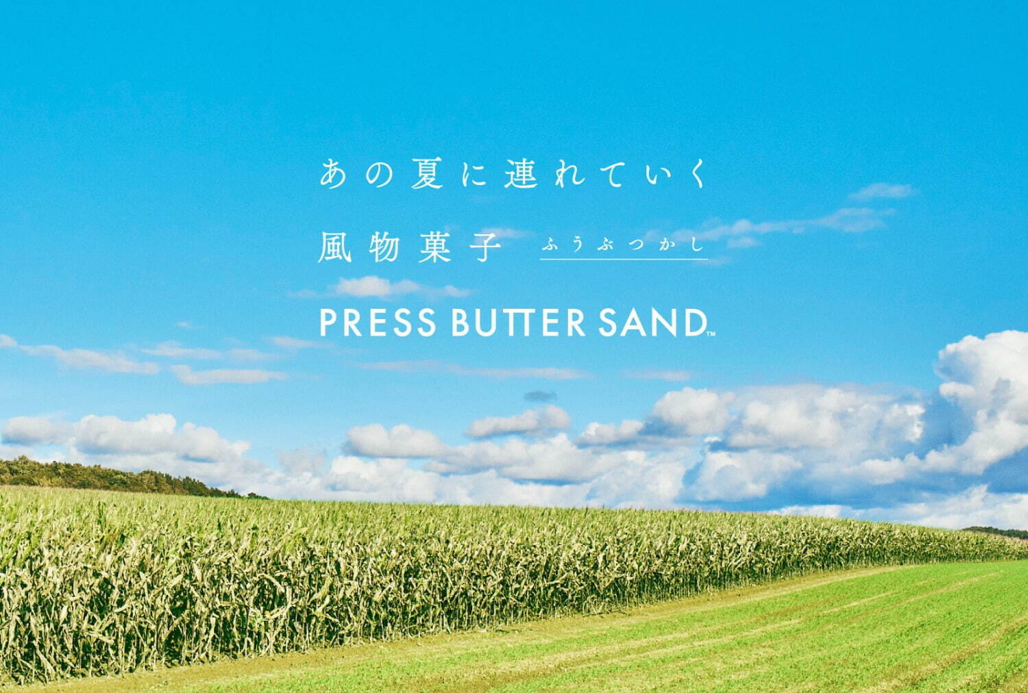 プレスバターサンド(PRESS BUTTER SAND) プレスバターサンド｜写真10