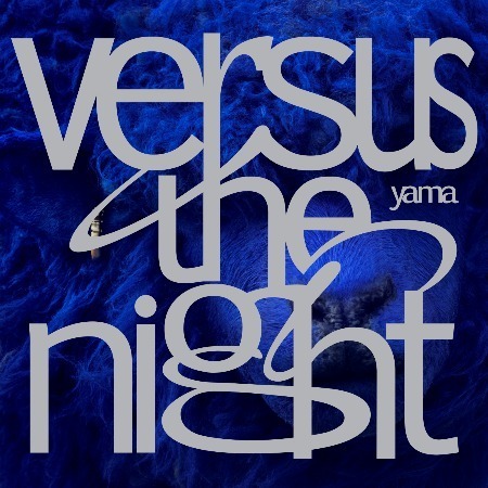 Versus the night｜写真3