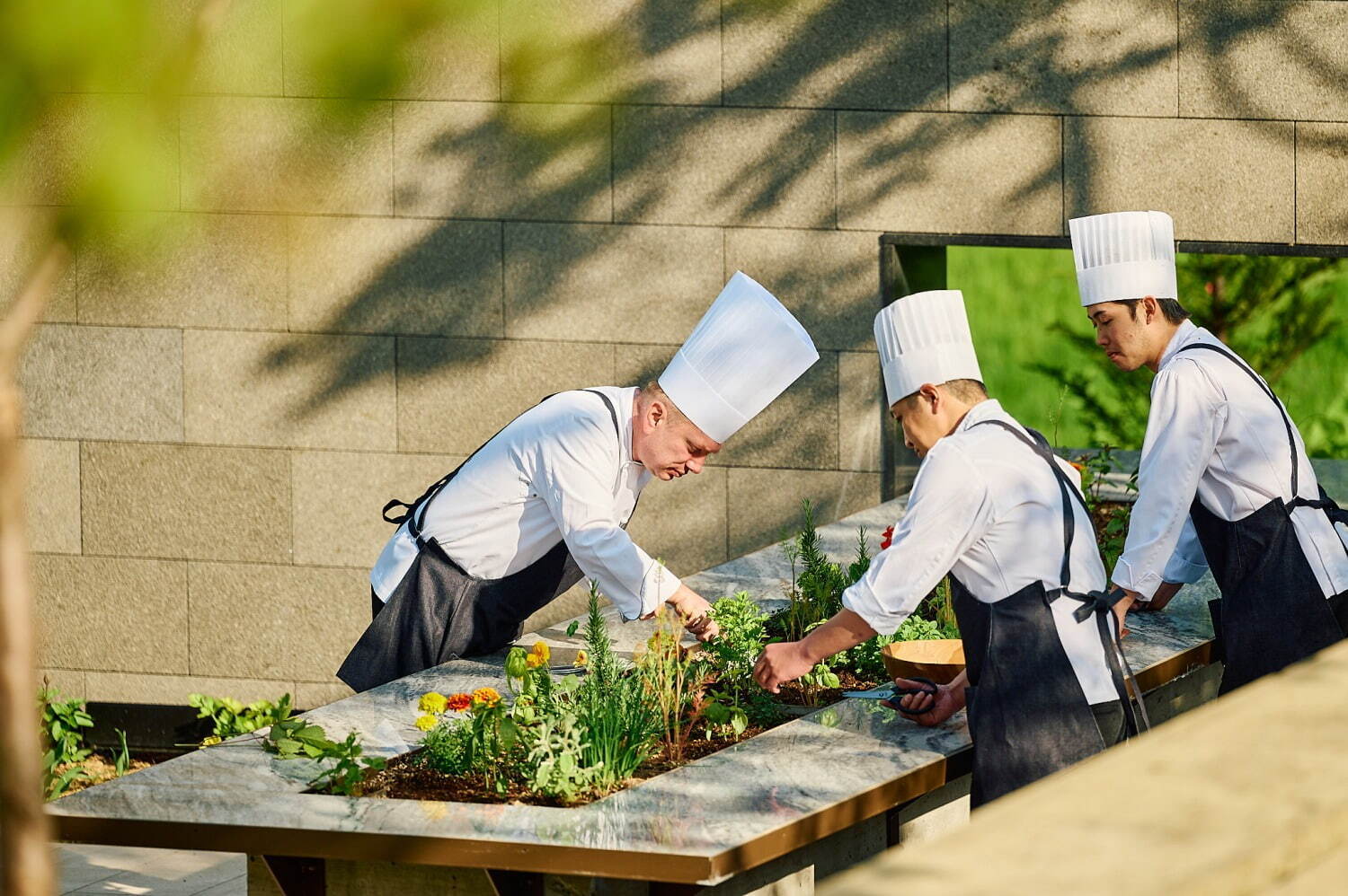 ピエール・エルメ・パリの夏アフタヌーンティー”北海道食材”スイーツなどパーク ハイアット ニセコで｜写真6