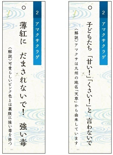 京都水族館夏イベント「くらげと風鈴」本物そっくり“クラゲ風鈴”＆夜間の幻想的ライトアップも｜写真7