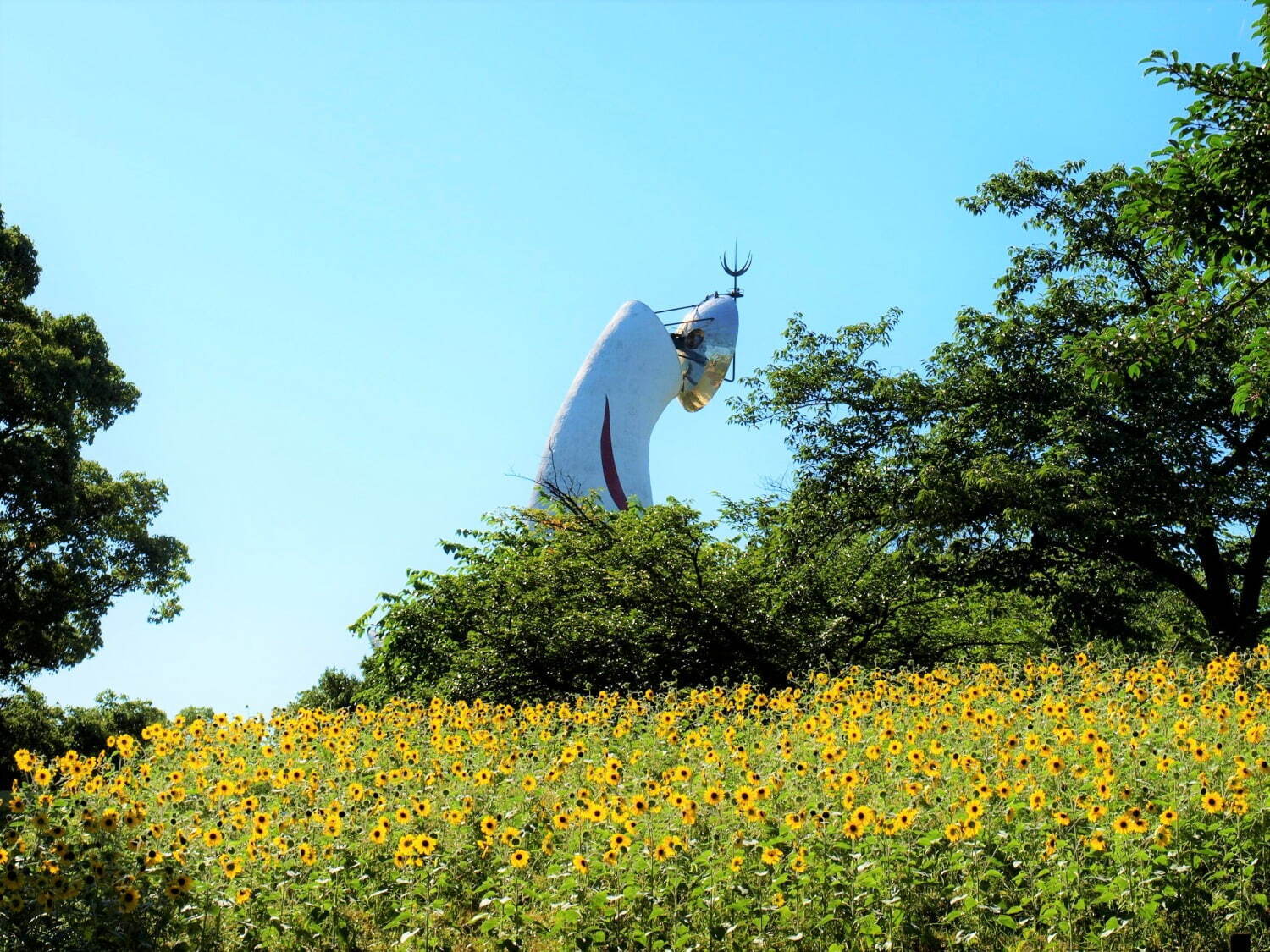 大阪「万博記念公園 ひまわりフェスタ」約1万2千本が咲き誇る“絶景”スポット、キッチンカーも｜写真1