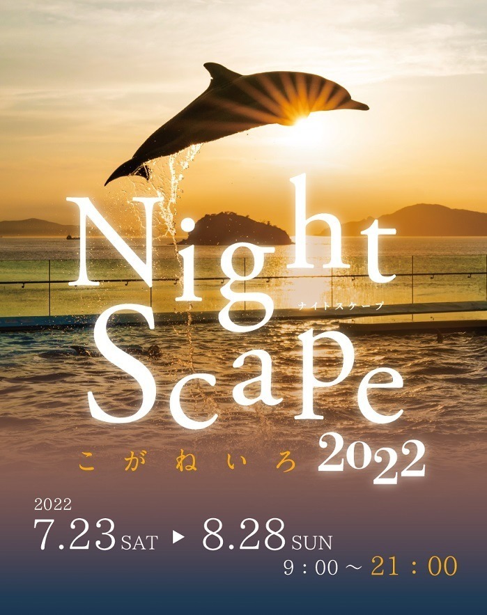 香川・四国水族館”幻想的な夜の水族館”イベント、夕日背景のイルカショーやビアガーデンも｜写真8