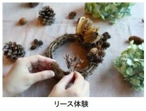 神戸・六甲高山植物園の紅葉が見頃に、 紅葉とアート作品を幻想的にライトアップ｜写真1