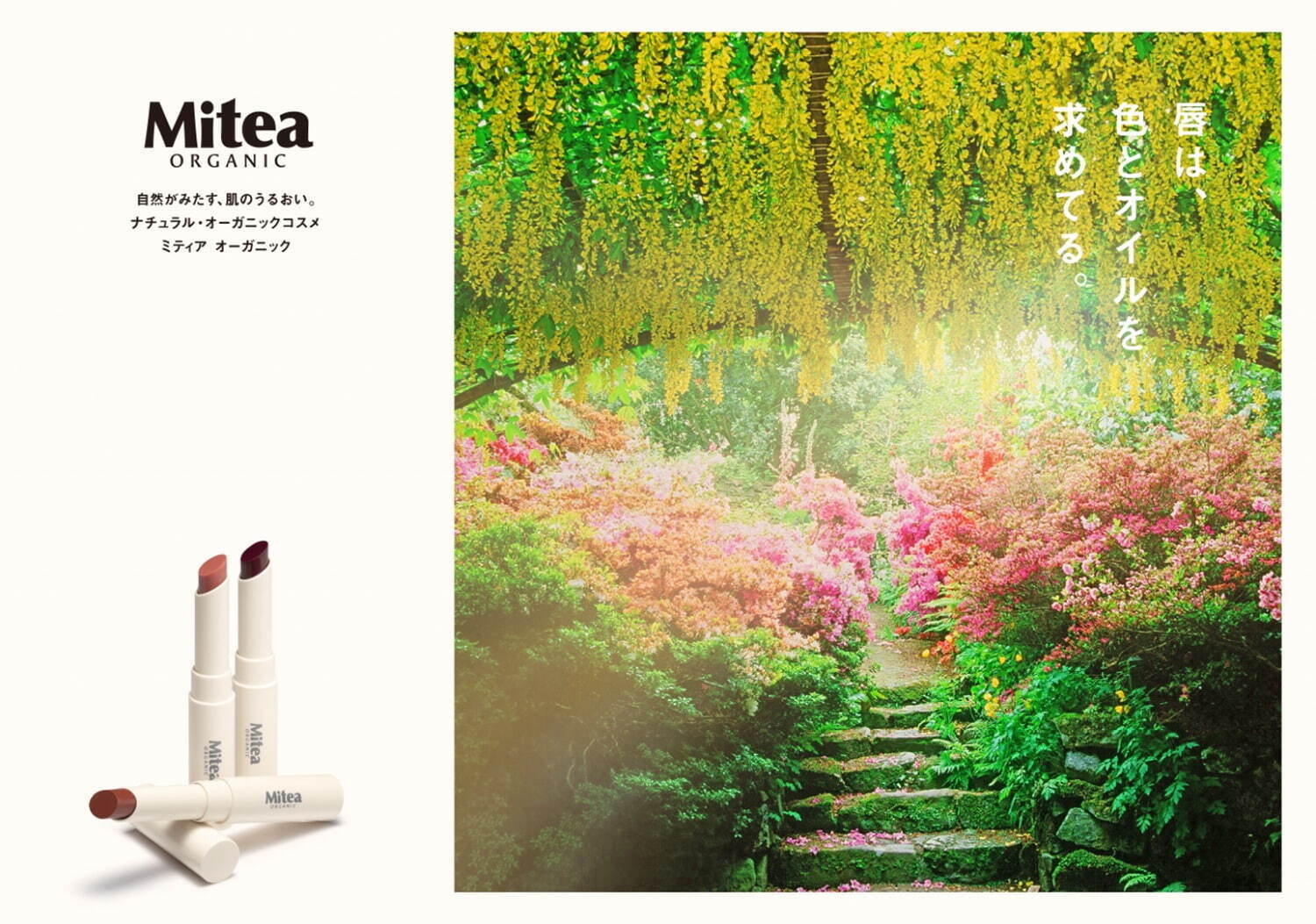 コスメキッチン(Cosme Kitchen), ビープル(Biople), ミティア オーガニック(Mitea ORGANIC) ミティア オーガニック｜写真9