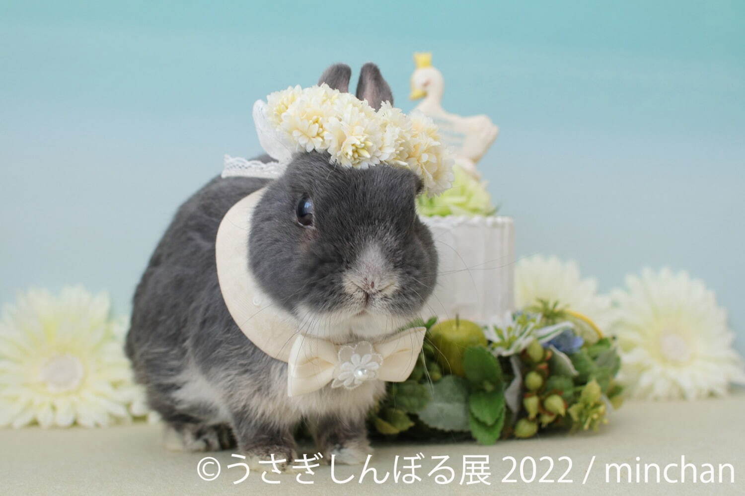 「うさぎしんぼる展 2022」東京＆名古屋で、”過去最大規模”うさぎ写真＆限定グッズ販売も｜写真1