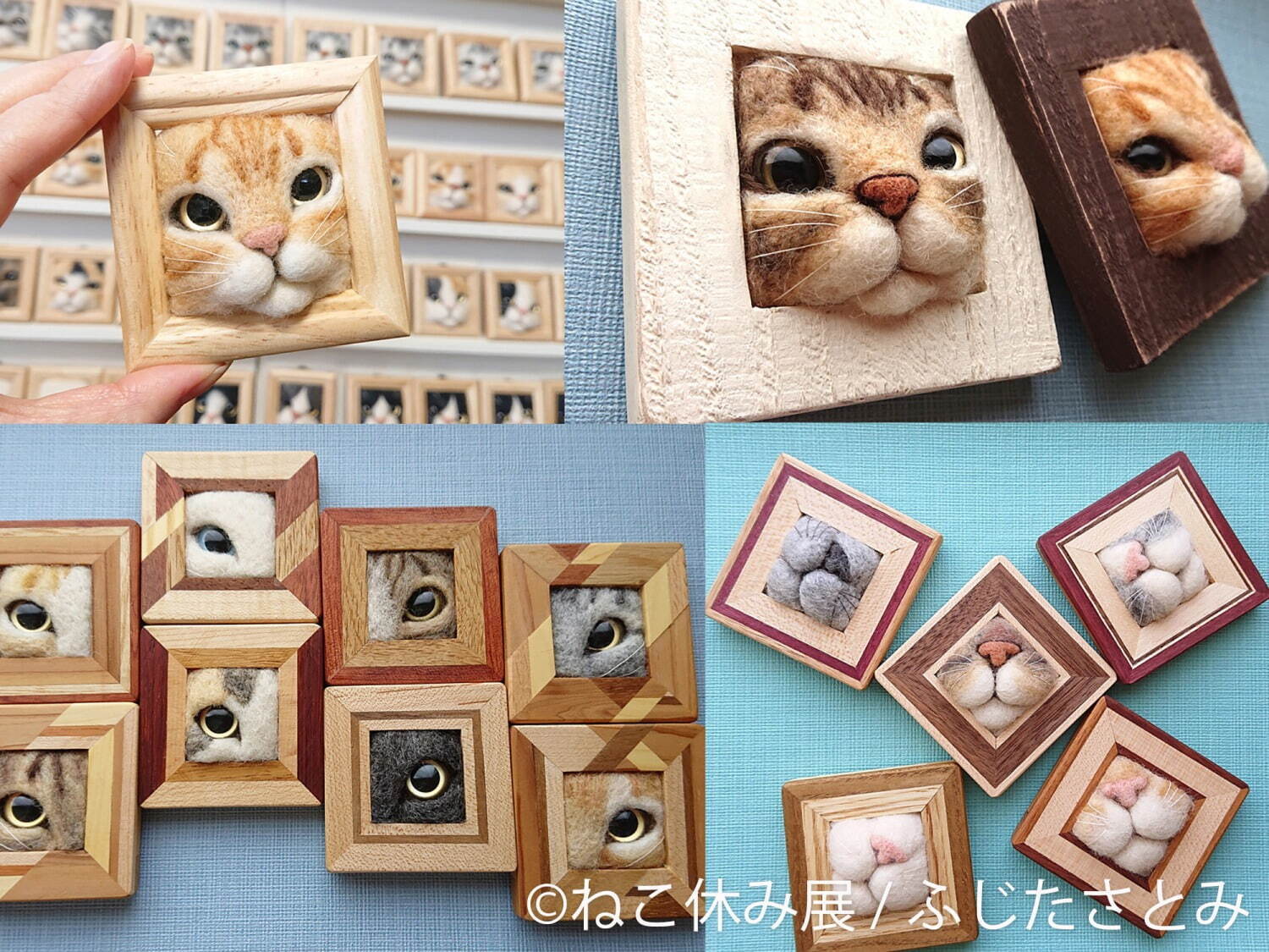 ねこの合同写真展＆物販展「ねこ休み展 秋 2022」名古屋で、スター猫の癒し写真＆限定グッズも｜写真18