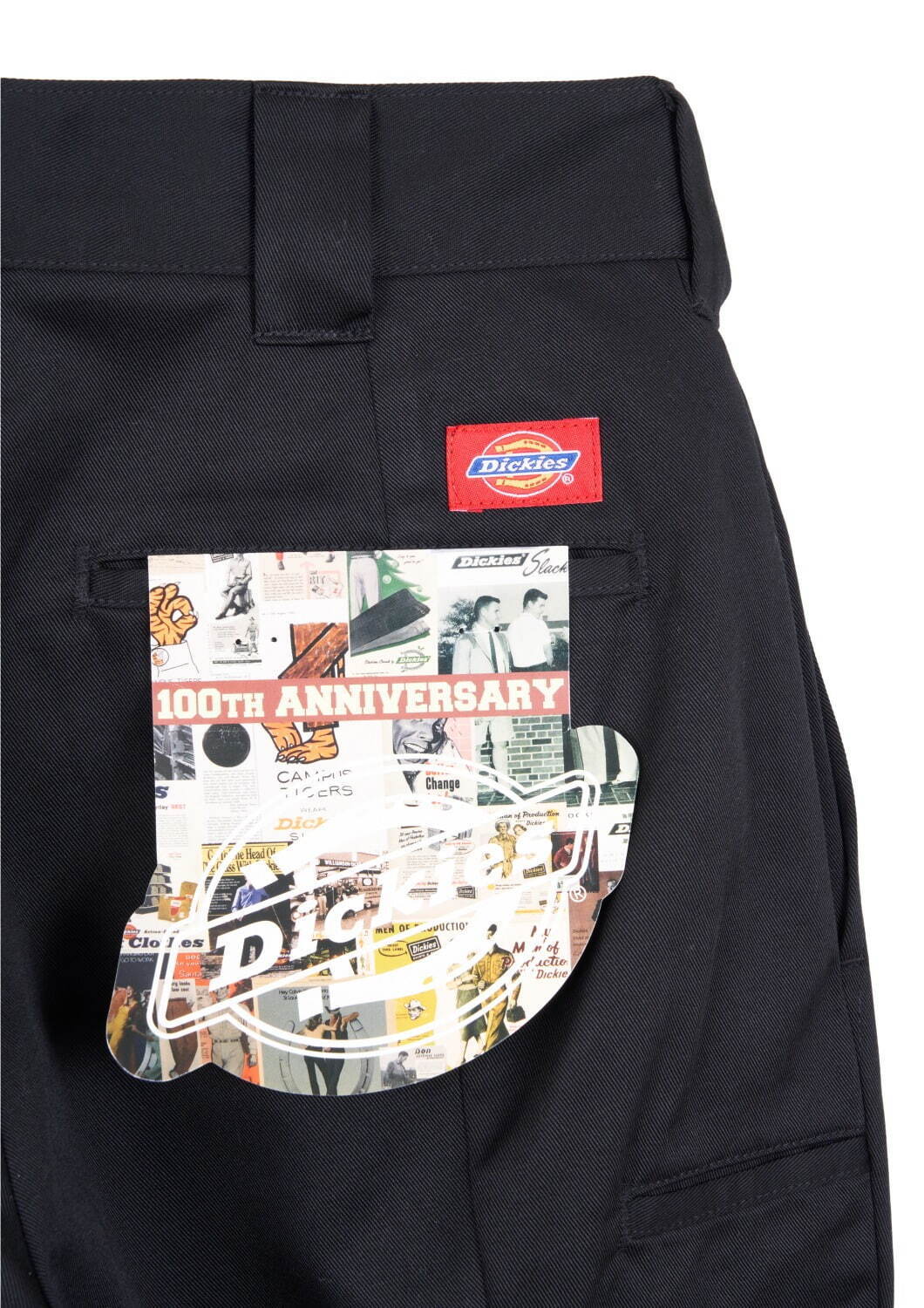 ディッキーズ(Dickies), タイガリオナ(TAIGALIONA) 874｜写真10