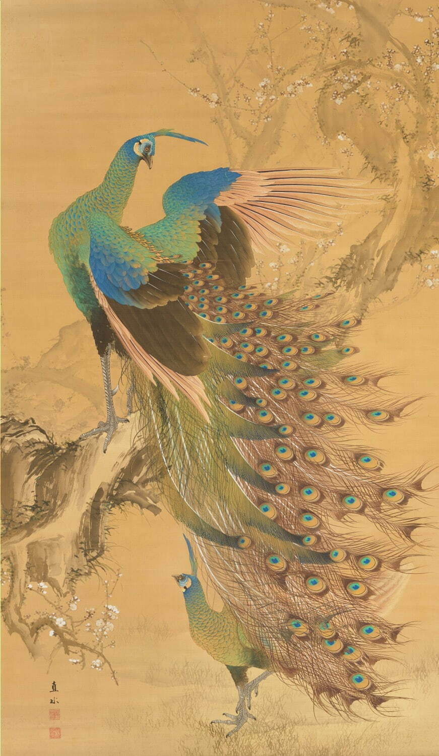 平井直水《梅花孔雀図》1904年(明治37年) 大阪中之島美術館［展示替え予定］