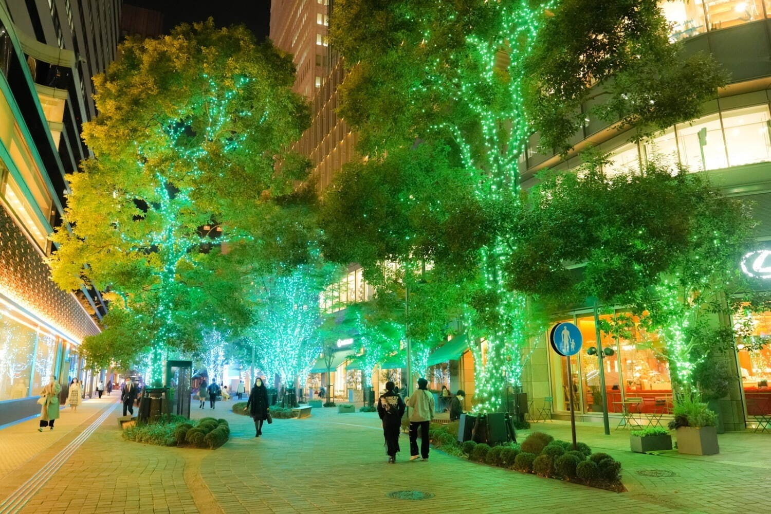 東京都内＆関東のイルミネーション2022-23年冬、遊園地＆東京ミッドタウンなどデートスポットも｜写真13