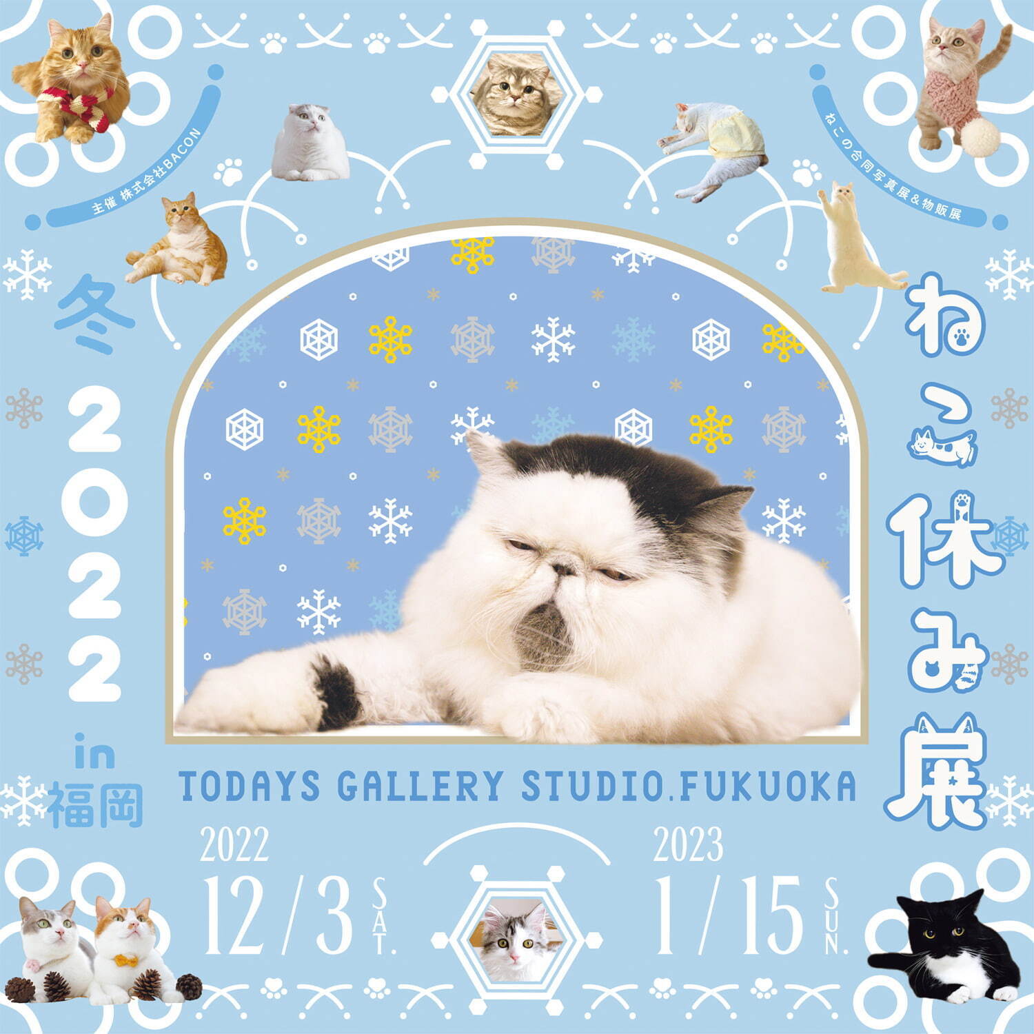 ねこの合同写真展＆物販展「ねこ休み展 冬 2022」福岡で、スター猫新作＆限定グッズ販売も｜写真19