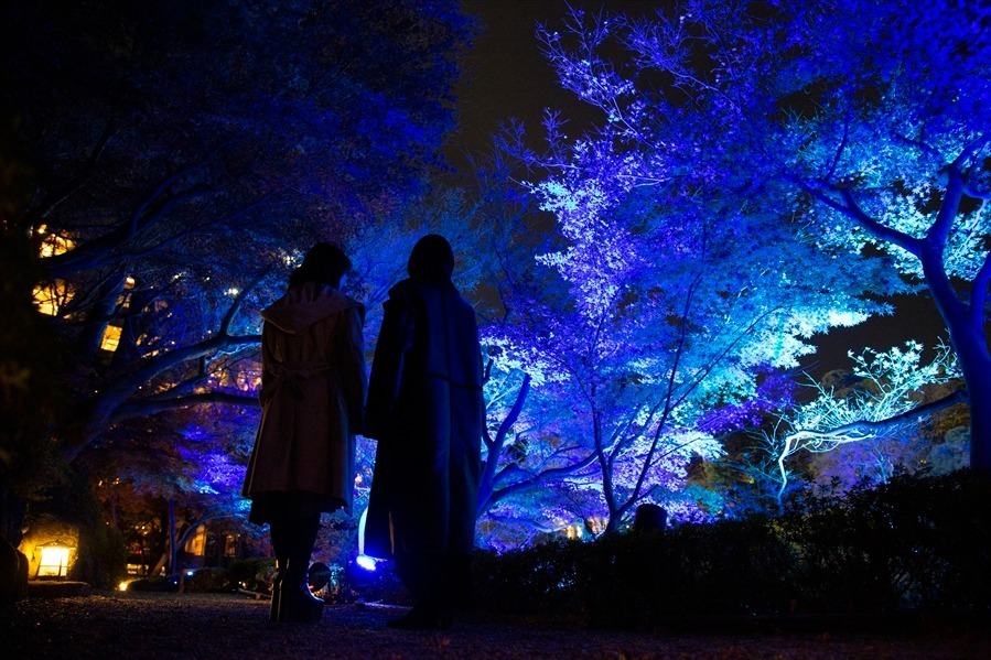 東京・白金台「八芳園」“青一色”に染まるライトアップイベント、日本酒を嗜むバーも｜写真2