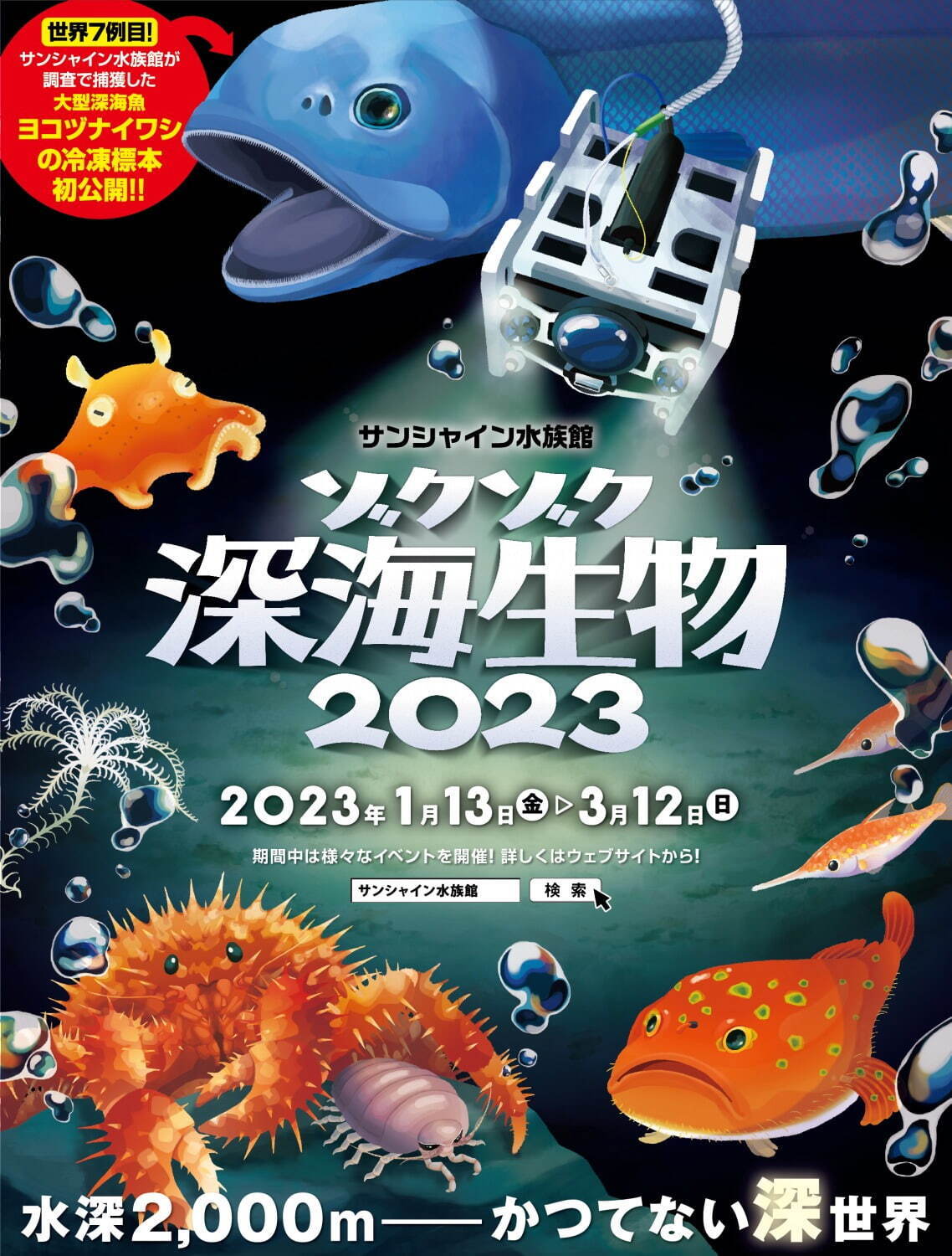 サンシャイン水族館「ゾクゾク深海生物2023」大型深海魚“ヨコヅナイワシ”の冷凍標本を国内初展示｜写真10