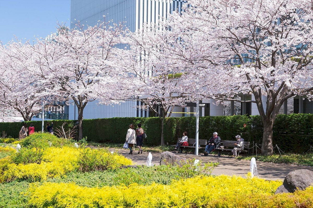 ＜東京ミッドタウン＞「ミッドタウン ブロッサム」