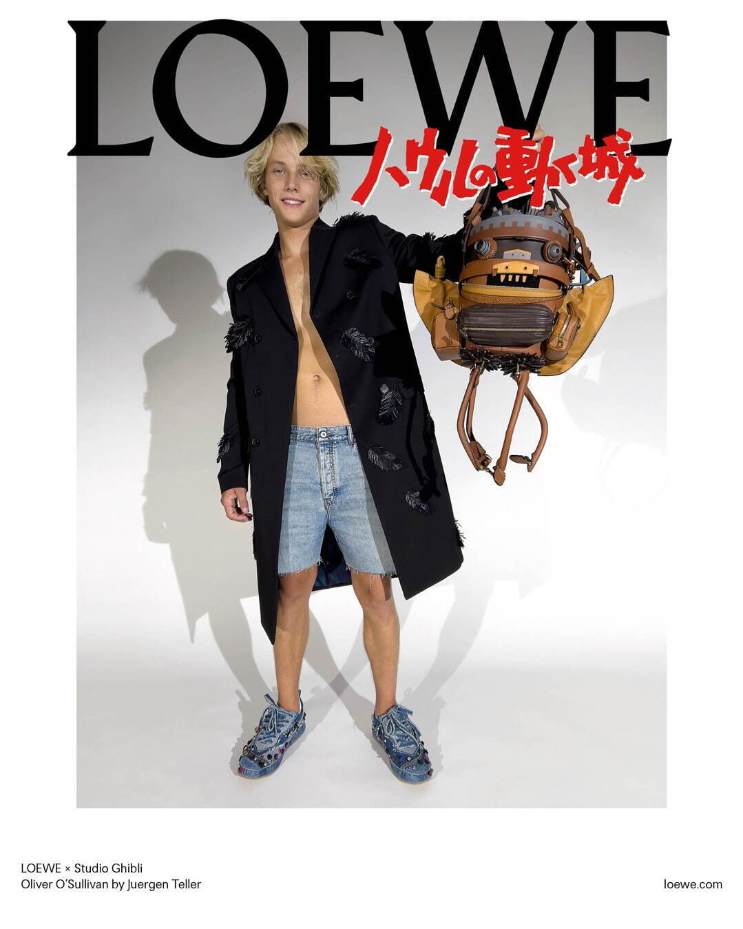 ロエベ(LOEWE) ハウルの動く城 パズル｜写真189