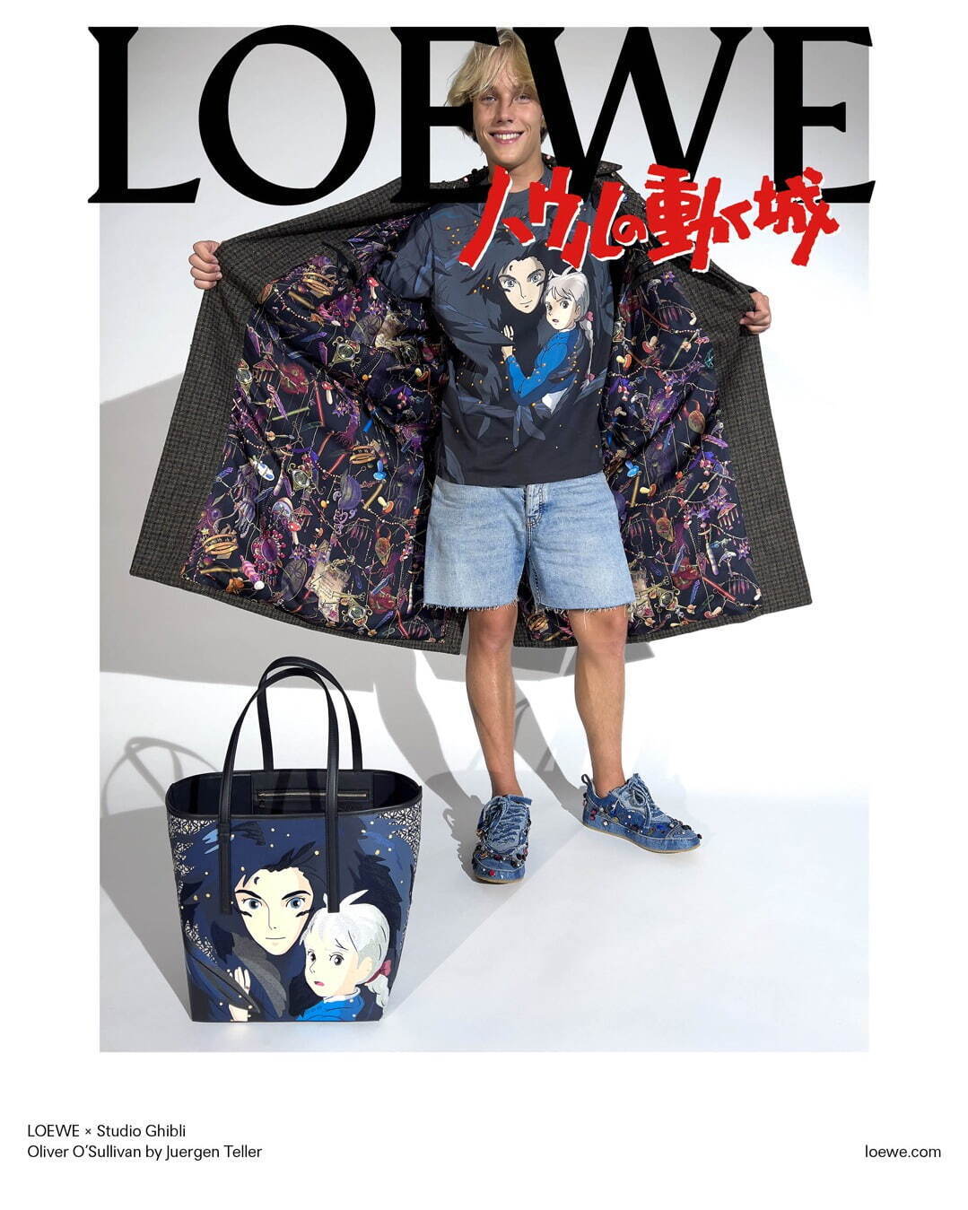 ロエベ(LOEWE) ハウルの動く城 パズル｜写真188