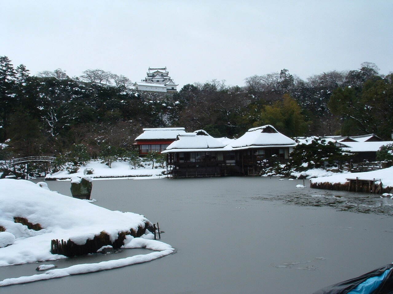 滋賀県の名勝庭園4選、抹茶を味わえる玄宮楽々園＆四季折々の景色を楽しむ旧竹林院庭園など｜写真6