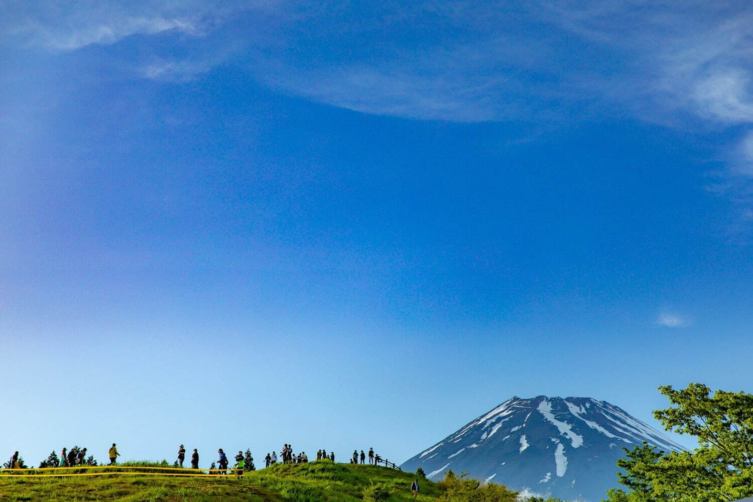 フジ アンド サン'23 富士山こどもの国｜写真8