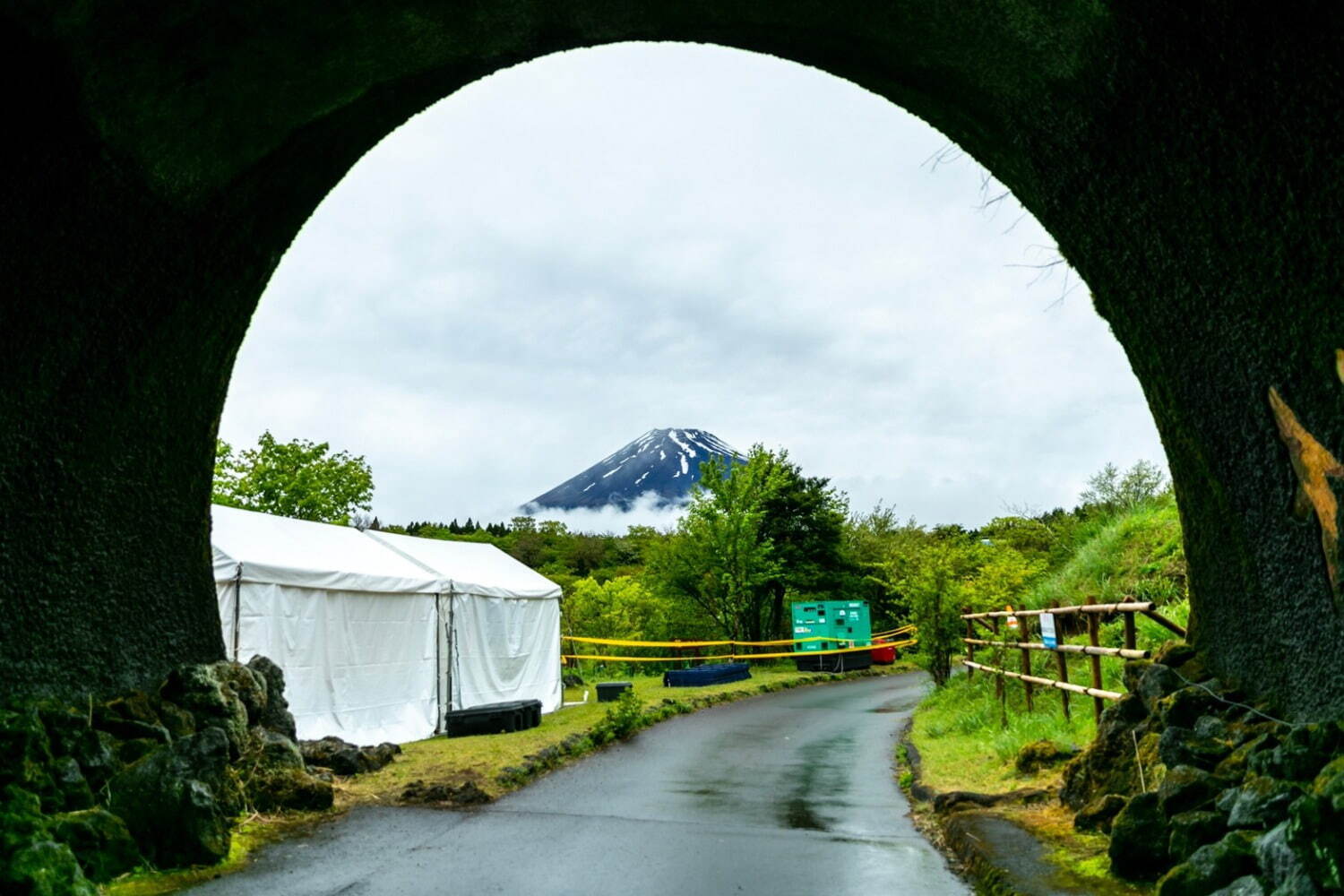 フジ アンド サン'23 富士山こどもの国｜写真13