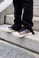 【BALENCIAGA】elephants 3